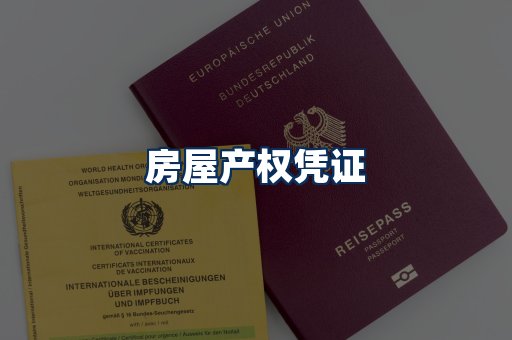 身份信息卡系列